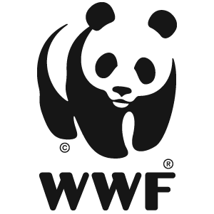 cropped-58568d4c4f6ae202fedf2721.png